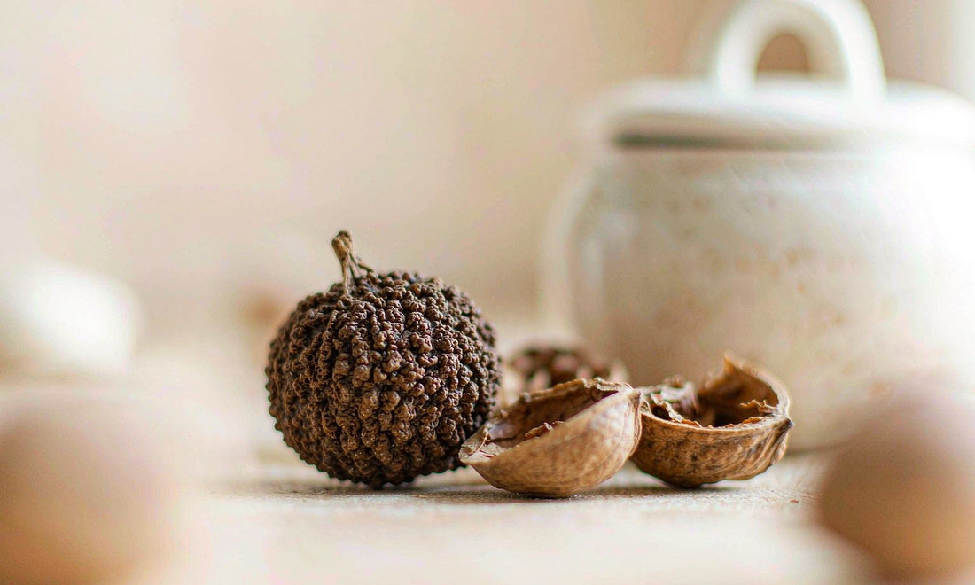 Extreme macro of a dark walnut's textured surface with a white jar softly blurred in the background