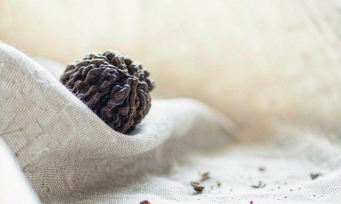 Macro close-up of a dark ridged walnut shell resting on pale linen cloth in soft window light
