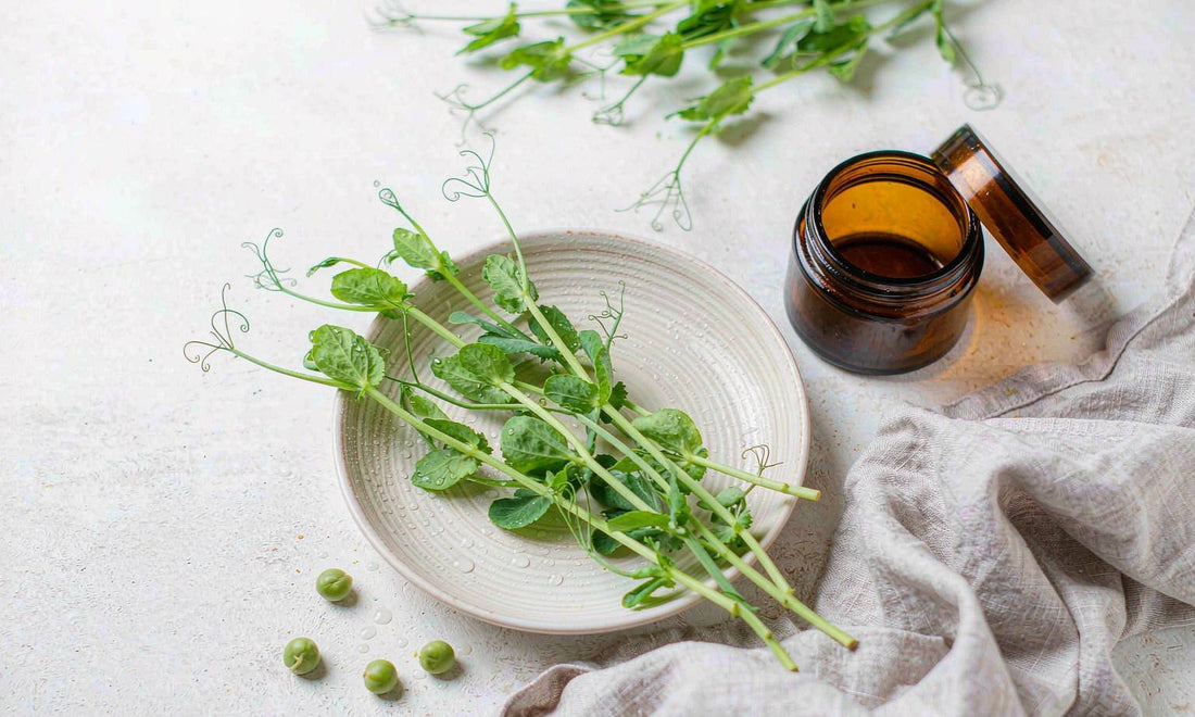 Fresh green pea shoots arranged on a pale ceramic dish beside an amber jar and a linen napkin