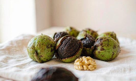 Macro close-up of black walnuts in green husks and cracked shells on bright white linen cloth