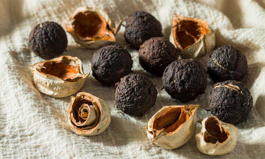 Macro close-up of black walnuts and dried green hulls arranged on a pale linen cloth in soft window light