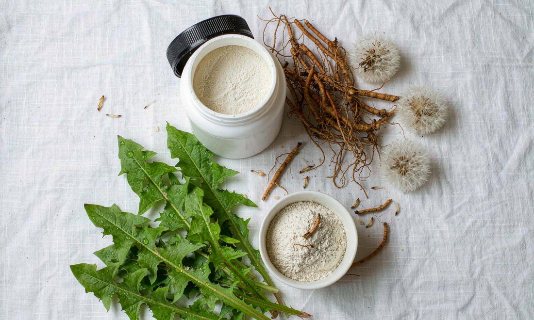 Dried dandelion roots, fresh leaves and seed heads arranged beside a supplement jar on white linen