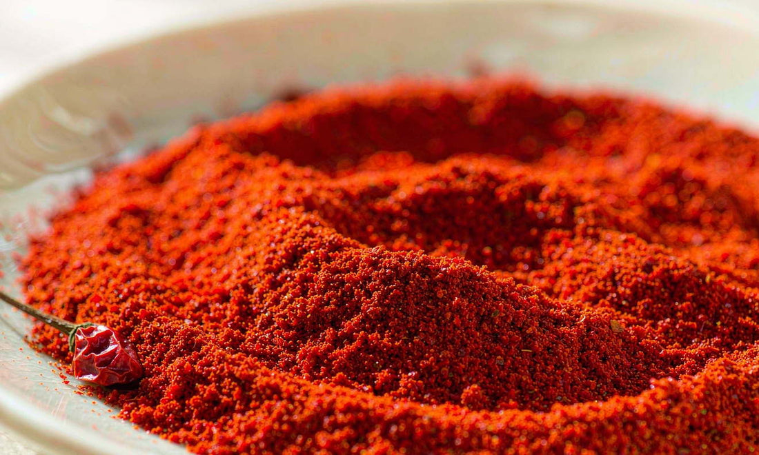 Macro of fine red cayenne powder heaped on a pale ceramic plate beside one dried chilli