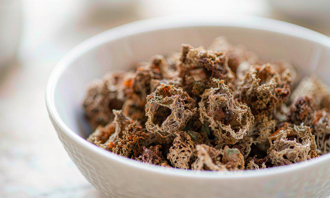 Macro detail of freeze-dried whole food pieces in a white ceramic bowl on a light marble surface