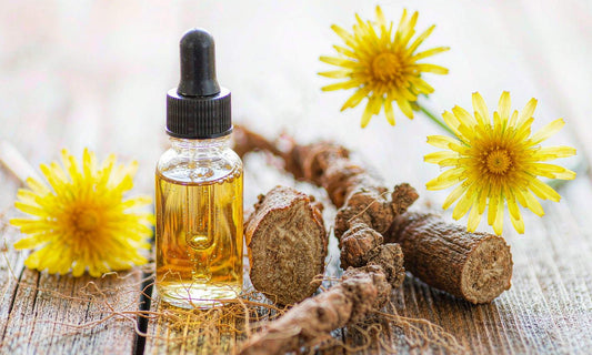 Macro view of dried dandelion root pieces and a golden dropper bottle with yellow flowers on worn wood