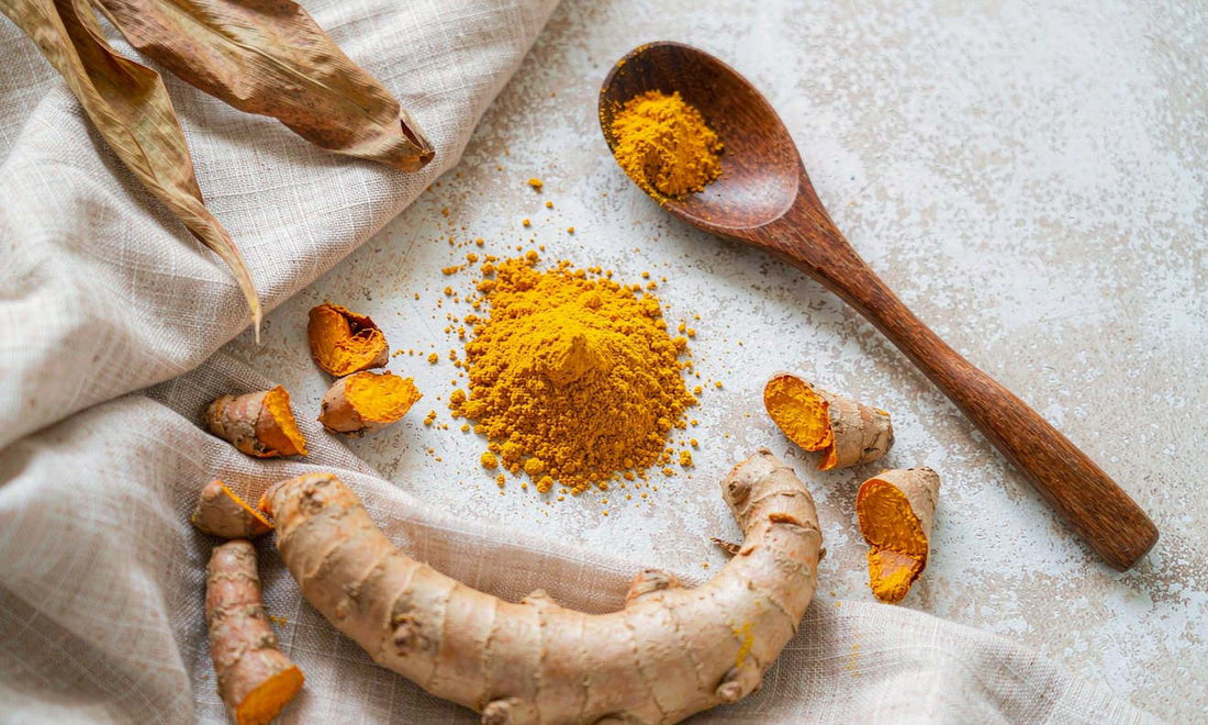 Fresh turmeric roots with cut orange flesh and a mound of powder on pale stone with a linen cloth