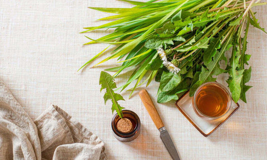 Overhead flat lay of fresh dandelion greens, a cup of roasted root tea and an amber jar on linen