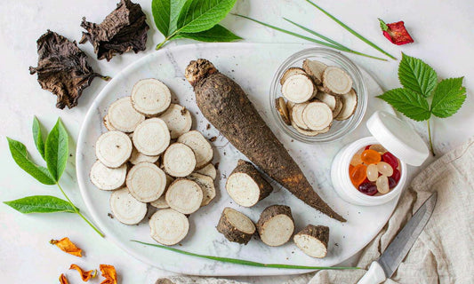 Fresh burdock roots and dried botanicals laid out on white marble beside a jar of gummy supplements