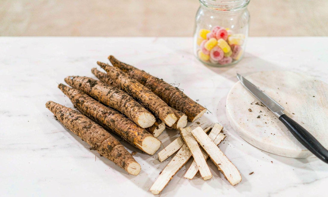 Fresh burdock roots and cut slices on white marble beside a cutting board, knife and gummy jar
