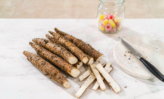 Fresh burdock roots and cut slices on white marble beside a cutting board, knife and gummy jar