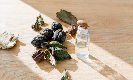 Overhead flat lay of black walnuts, dried green hulls and a glass dropper bottle on pale wood