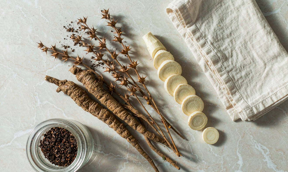 Top-down flat lay of fresh burdock roots, sliced rounds and a jar of dried root tea on pale marble