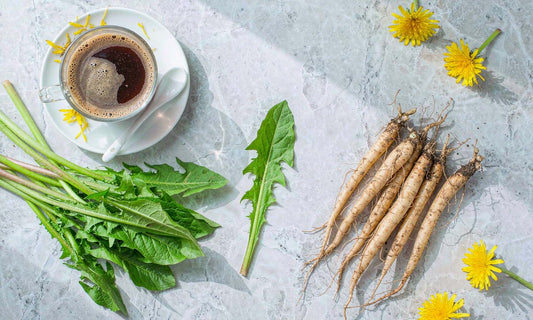 Top-down flat lay of fresh dandelion greens, roots and yellow flowers with roasted root tea on marble