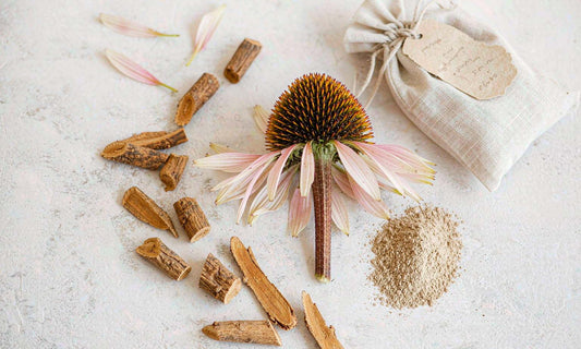 Dried echinacea root pieces, a sliced coneflower head and a pile of fine powder on pale stone