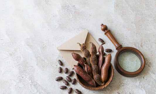 Dried speckled velvet legume seeds and fuzzy pods with a magnifying glass on pale stone