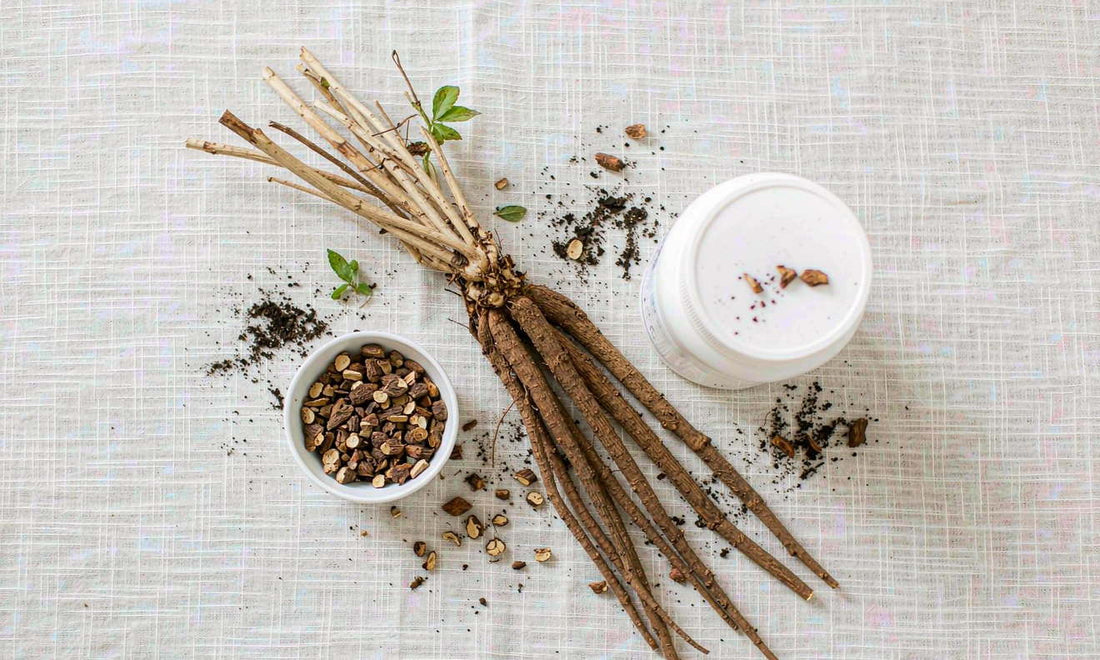 Fresh burdock roots and a white supplement jar arranged on pale linen in soft natural daylight