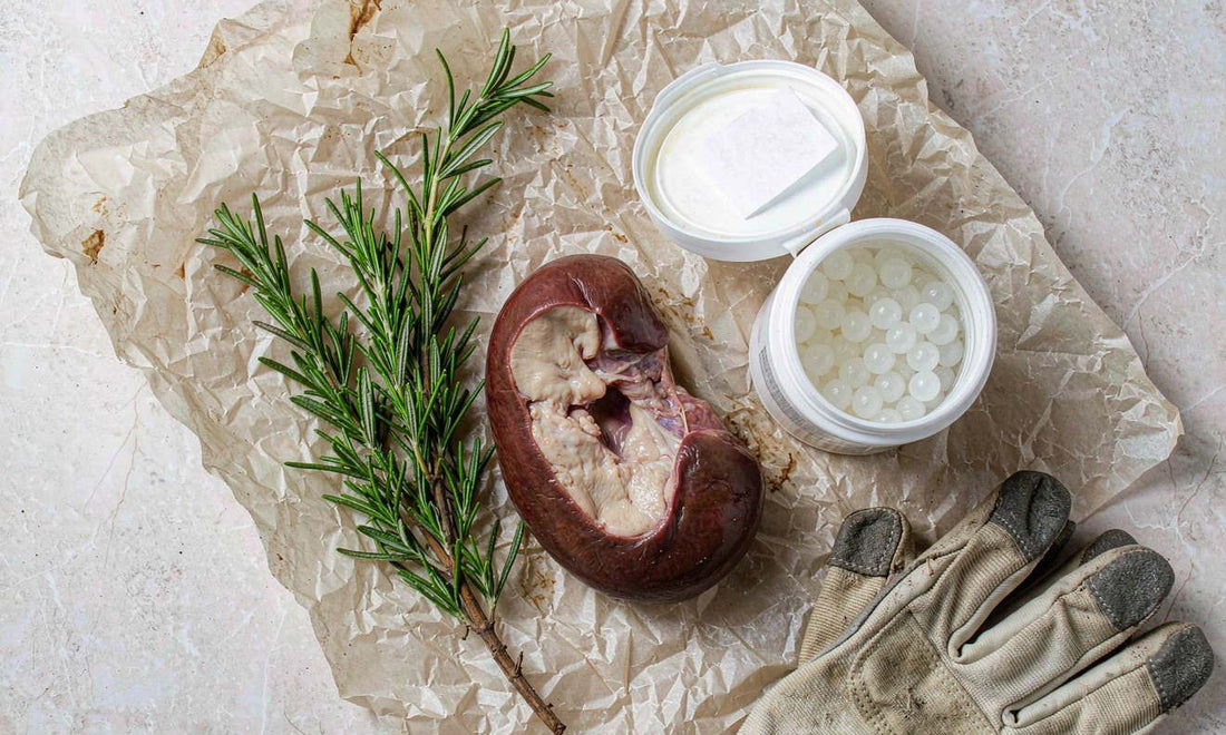 Flat lay of fresh raw beef kidney on butcher paper with rosemary and a gummy jar on pale marble