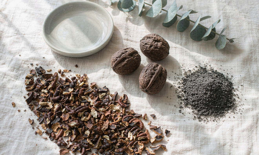 Dried black walnut hulls and whole nuts in rough shells arranged on off-white linen cloth