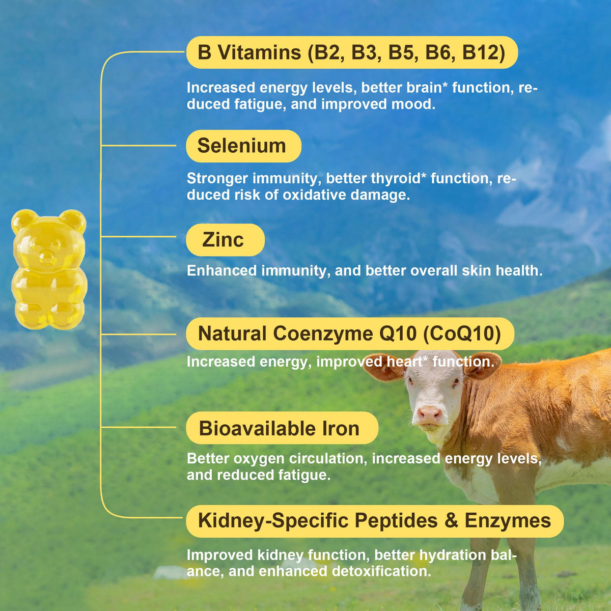 Grass-fed beef kidney gummies supplement facts label
