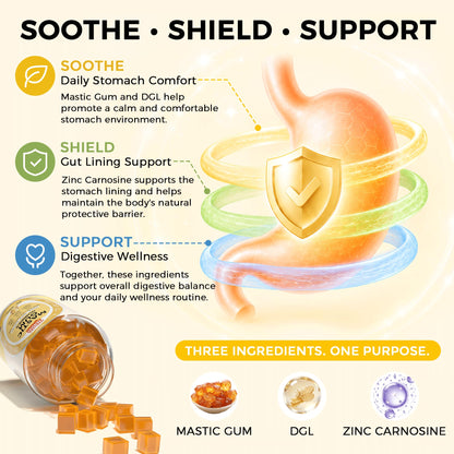 Daily Mastic Gum Gummies | Zinc Carnosine & DGL for Stomach Comfort, 90 Count